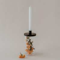 Lesen Eulenschnitt Bewertungen