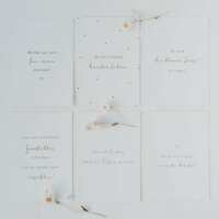 Lesen Eulenschnitt Bewertungen