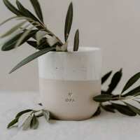 Lesen Eulenschnitt Bewertungen