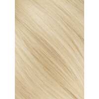 Read Bellami Professional Reviews