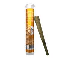 Read Delta Extrax Reviews