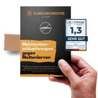 Lesen Panteer GmbH Bewertungen