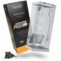 Lesen Panteer GmbH Bewertungen