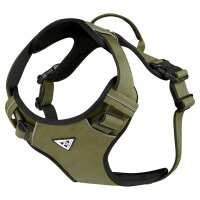 Lesen Bullsland Dogwear GmbH Bewertungen