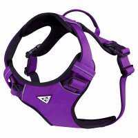 Lesen Bullsland Dogwear GmbH Bewertungen