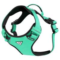 Lesen Bullsland Dogwear GmbH Bewertungen