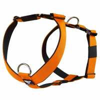 Lesen Bullsland Dogwear GmbH Bewertungen