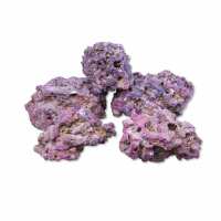 Read Charterhouse Aquatics Reviews