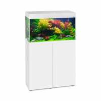 Read Charterhouse Aquatics Reviews