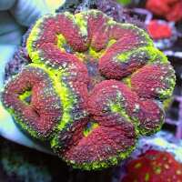 Read Charterhouse Aquatics Reviews