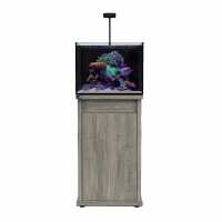 Read Charterhouse Aquatics Reviews