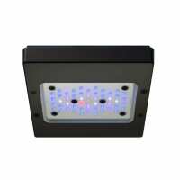 Read Charterhouse Aquatics Reviews