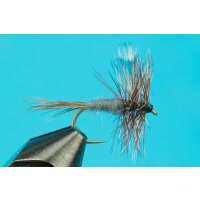 Read Big Y Fly Co Reviews