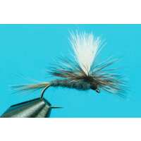 Read Big Y Fly Co Reviews