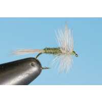 Read Big Y Fly Co Reviews