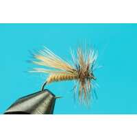 Read Big Y Fly Co Reviews