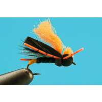 Read Big Y Fly Co Reviews
