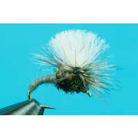 Read Big Y Fly Co Reviews