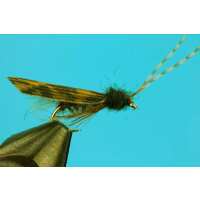 Read Big Y Fly Co Reviews