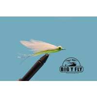 Read Big Y Fly Co Reviews