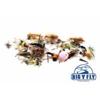 Read Big Y Fly Co Reviews
