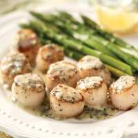 Read Chesapeake Crab Cakes Reviews