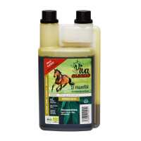 Lesen omegalecker GmbH Bewertungen