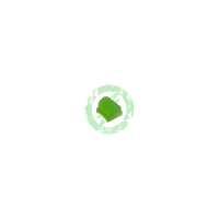 Read Amped Airsoft Reviews