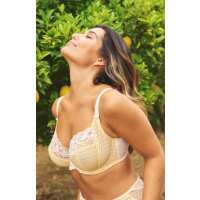 Read Panache Lingerie Reviews