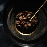 Read H. R. Higgins Reviews