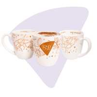 Read Bondi Chai Reviews