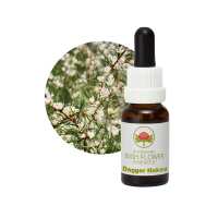 Read Australian Bush Flower Essences Reviews
