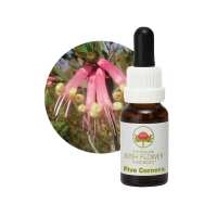 Read Australian Bush Flower Essences Reviews