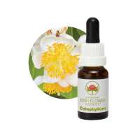 Read Australian Bush Flower Essences Reviews