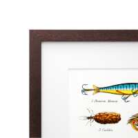 Read Framefox Reviews