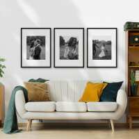 Read Framefox Reviews