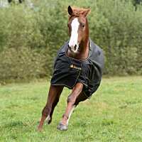 Read Agradi DE Reviews