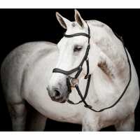 Read Agradi DE Reviews