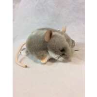 Read World of Bears Reviews