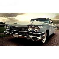 Lezen Myth of Asia Netherlands Reviews