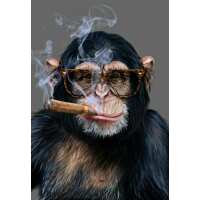 Lezen Myth of Asia Netherlands Reviews