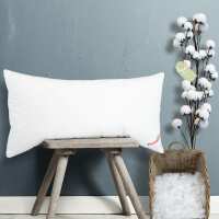 Lesen Paradies Bettenshop Bewertungen
