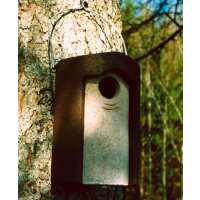 Read Living with Birds Reviews