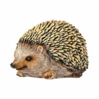 Lesen VERDOBA Bewertungen