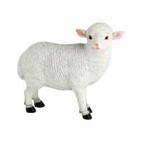 Lesen VERDOBA Bewertungen