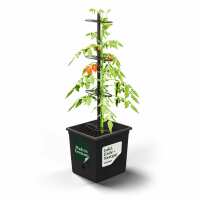 Lesen VERDOBA Bewertungen