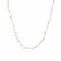 Read The Silver Collective Pty Ltd Reviews