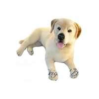 Read Special Needs Resources Reviews