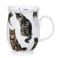 Read Great British Brands USA Reviews