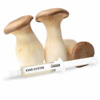 Read Mushroom Supplies Reviews